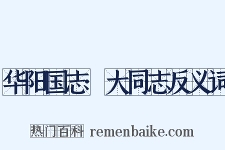 华阳国志·大同志反义词是什么意思的图片